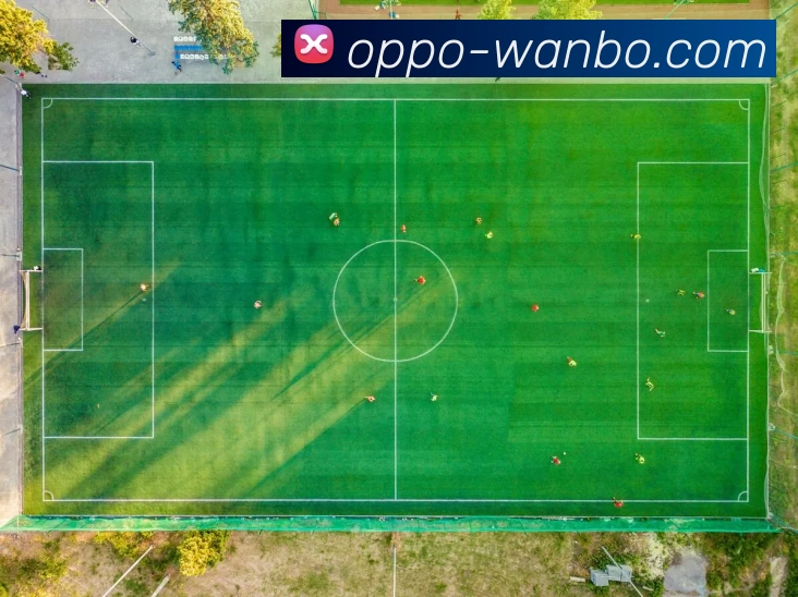 多媒体互动体验